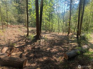 22439 Vale Court SE, Yelm, WA 98597