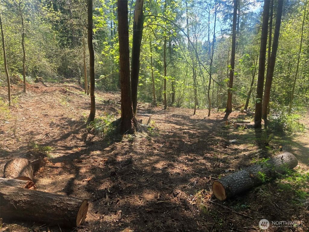 22439 Vale Court SE, Yelm, WA 98597