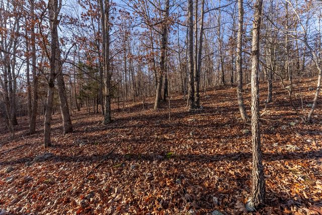 9184 Murphy Way, Birch Tree, MO 65438