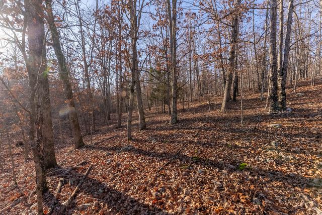 9184 Murphy Way, Birch Tree, MO 65438