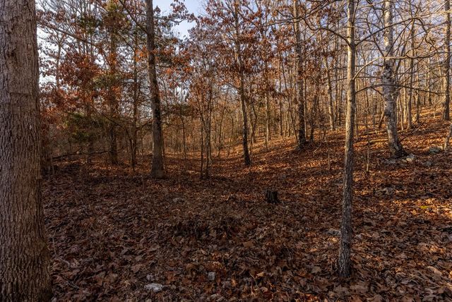 9184 Murphy Way, Birch Tree, MO 65438