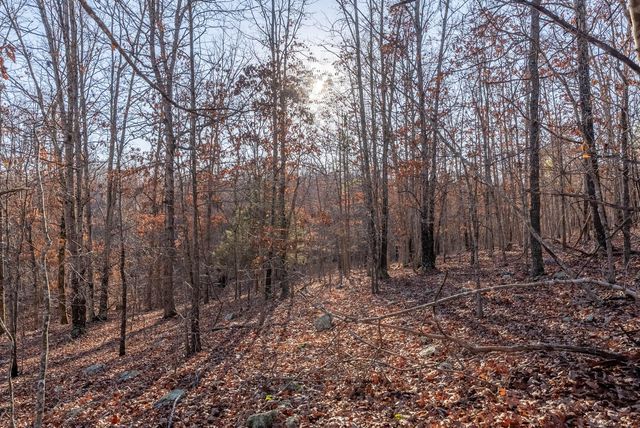 9184 Murphy Way, Birch Tree, MO 65438