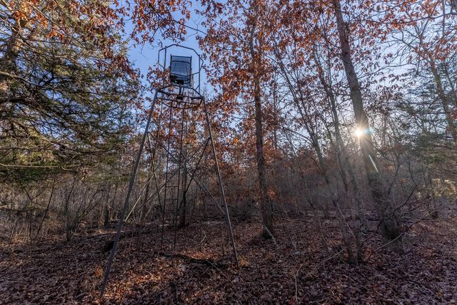 9184 Murphy Way, Birch Tree, MO 65438