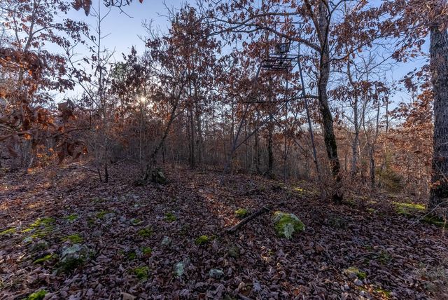 9184 Murphy Way, Birch Tree, MO 65438