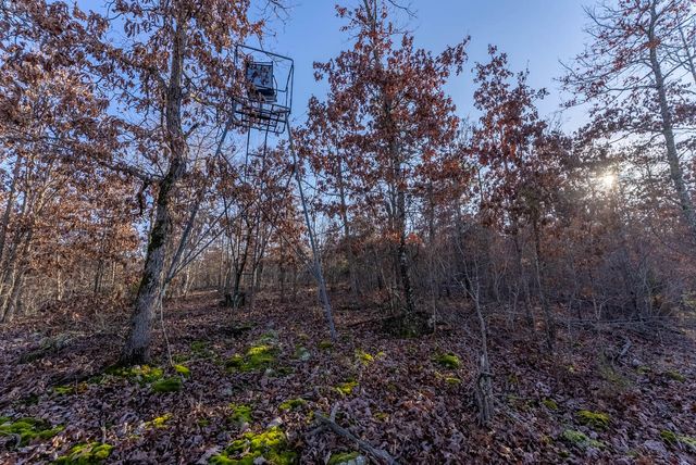 9184 Murphy Way, Birch Tree, MO 65438