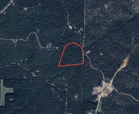 9184 Murphy Way, Birch Tree, MO 65438