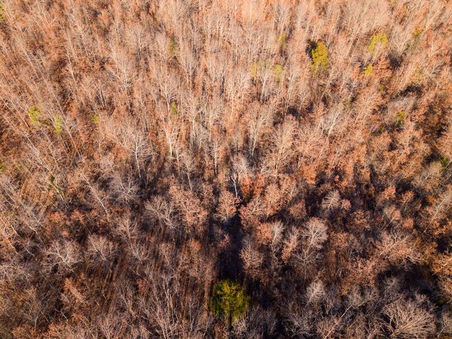 9184 Murphy Way, Birch Tree, MO 65438