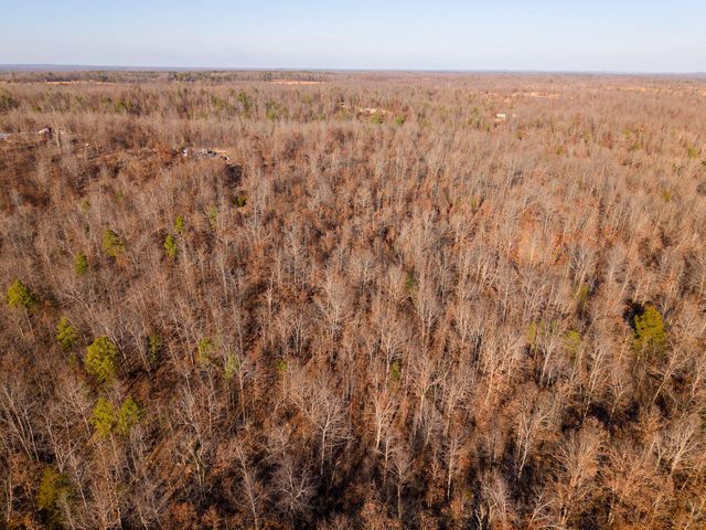 9184 Murphy Way, Birch Tree, MO 65438