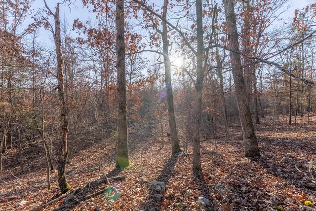 9184 Murphy Way, Birch Tree, MO 65438