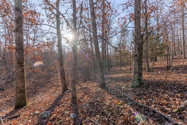 9184 Murphy Way, Birch Tree, MO 65438