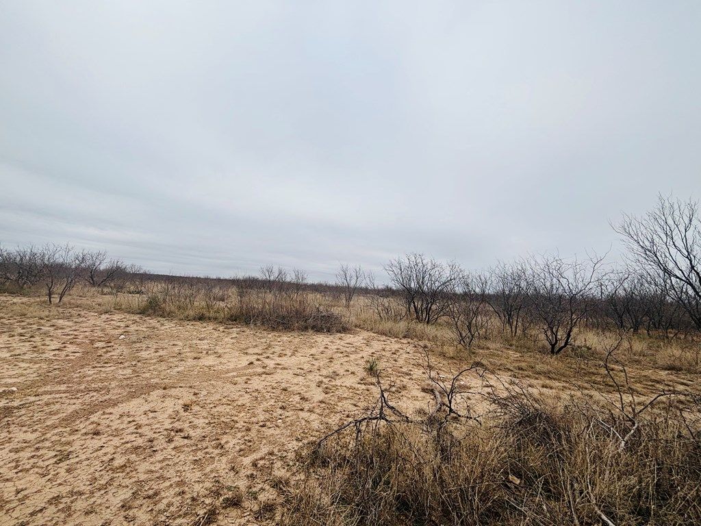 Image 3 of property listing at 11993 Twin Lakes Lane # 13, San Angelo, TX 76904