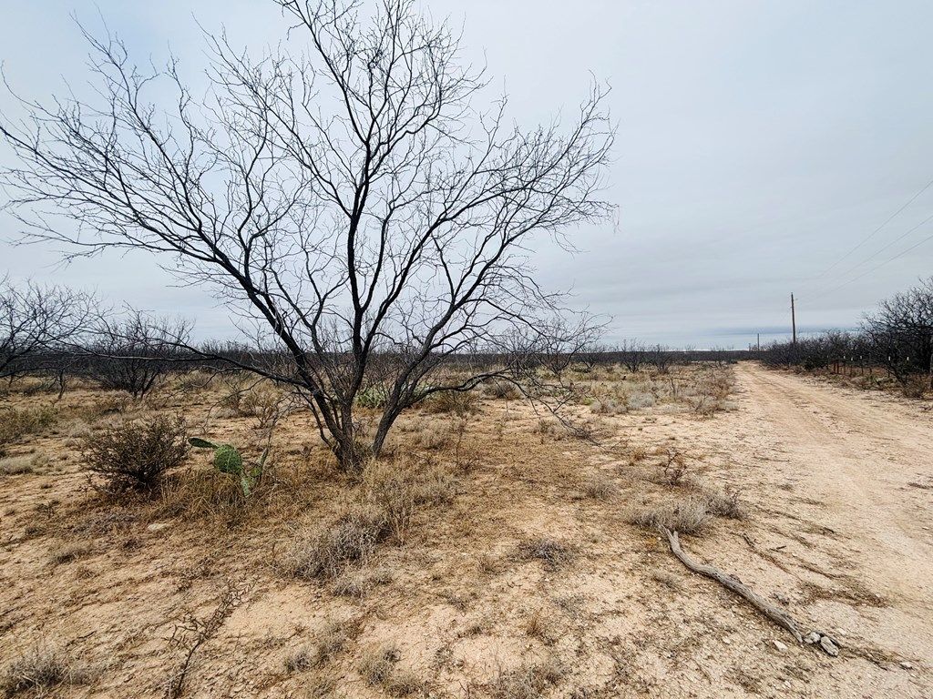 Image 4 of property listing at 11993 Twin Lakes Lane # 13, San Angelo, TX 76904