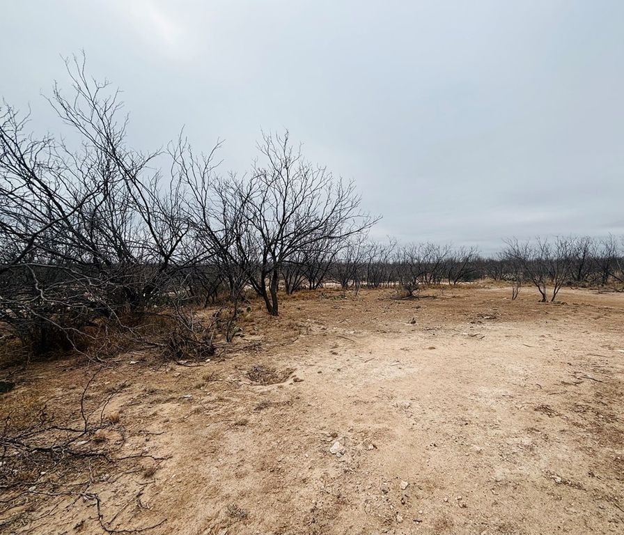 Image 8 of property listing at 11993 Twin Lakes Lane # 13, San Angelo, TX 76904