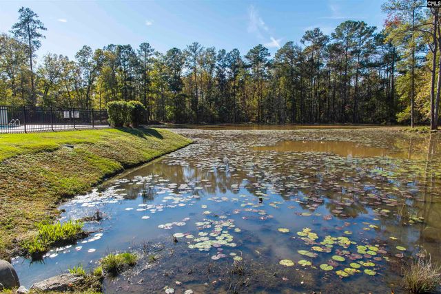 102 Roundtree Road, Blythewood, SC 29016