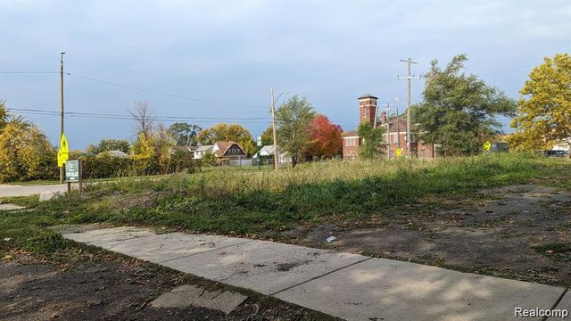 1720 Ford Street, Detroit, MI 48238