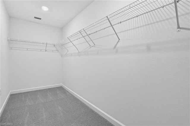 45102 Pipevine CIR, Babcock Ranch, FL 33982