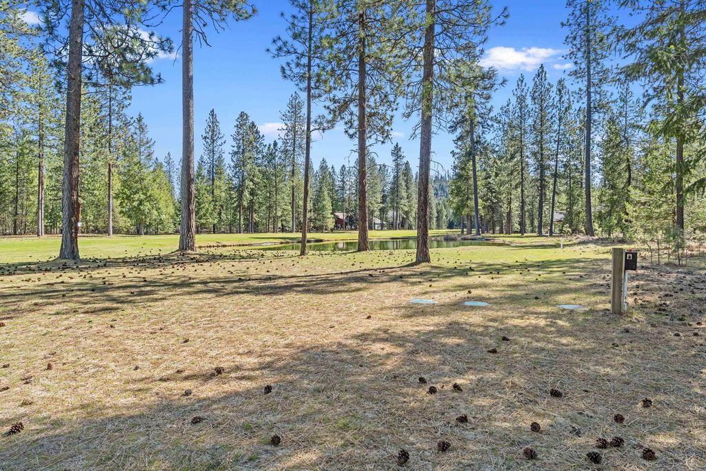 XXX Couples Ct, Chewelah, WA 99109 photo 3