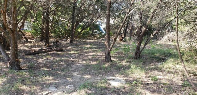 1103 Timberlane, Canyon Lake, TX 78133