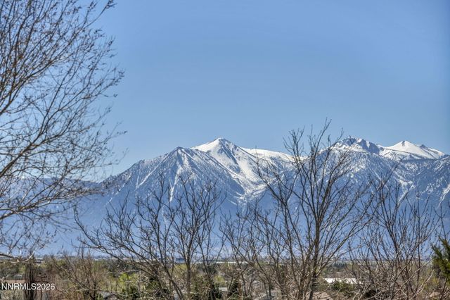 1374 Porter Drive, Minden, NV 89423