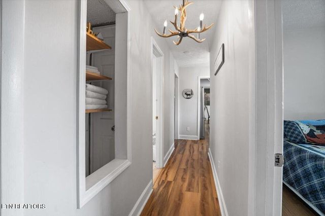 446 Oak Run Rd, Lafollette, TN 37766