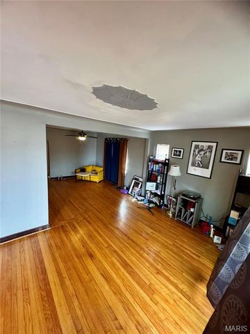 504 W Ripa Avenue, St Louis, MO 63125