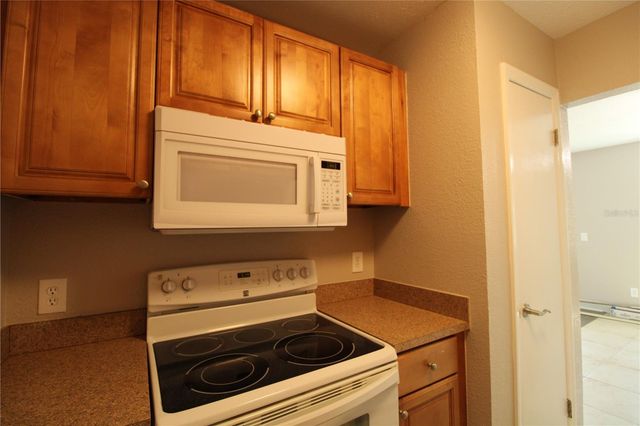 13731 JUNIPER BLOSSOM DRIVE 201, Tampa, FL 33618