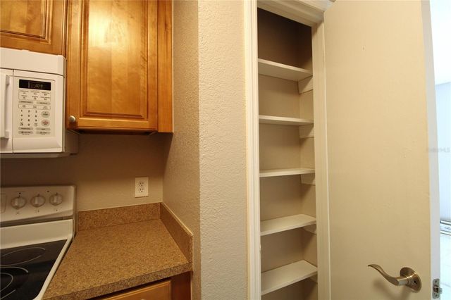 13731 JUNIPER BLOSSOM DRIVE 201, Tampa, FL 33618