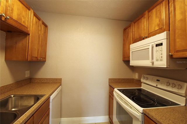 13731 JUNIPER BLOSSOM DRIVE 201, Tampa, FL 33618