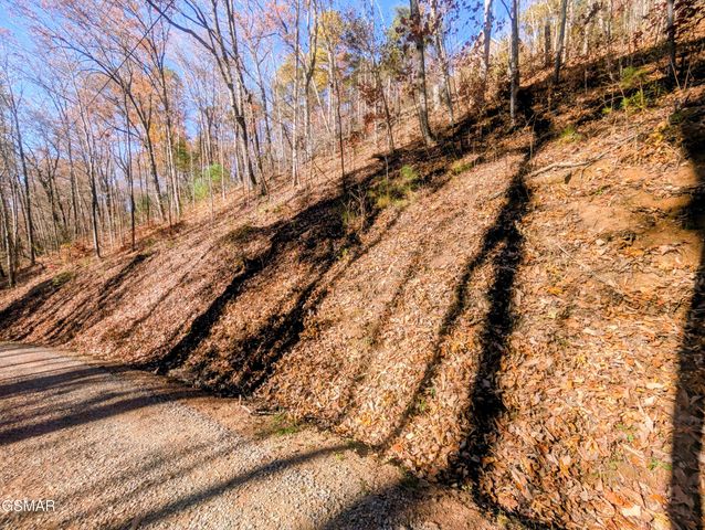 Lot 177B Tsali Drive, Sevierville, TN 37876