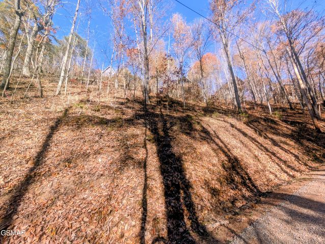 Lot 177B Tsali Drive, Sevierville, TN 37876