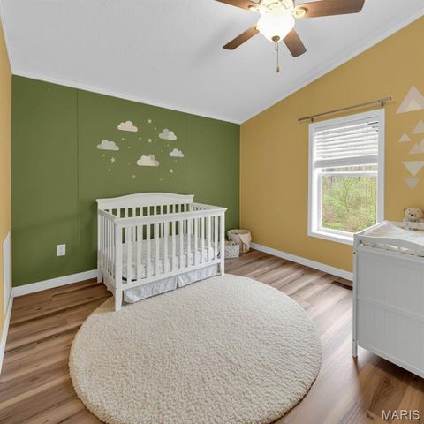 25847 Pendleton Forest Road, Unincorporated, MO 63383