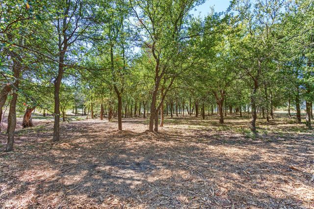 524 Texas Longhorn Trail, Gunter, TX 75058