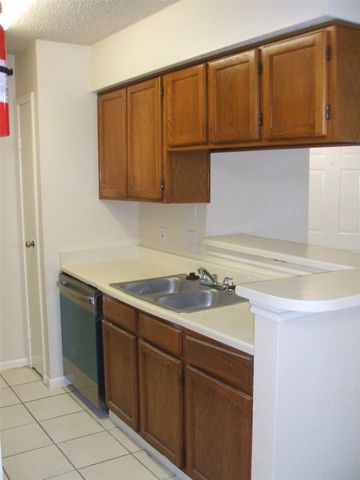 10101 S Gessner Road 316, Houston, TX 77071