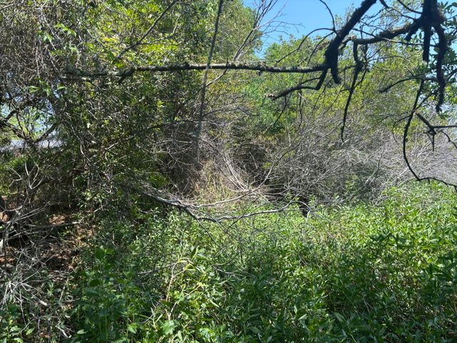 2035 Sol Legare Road, Charleston, SC 29412