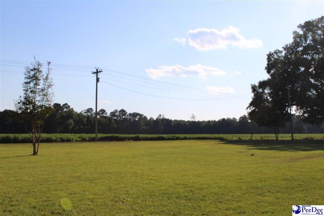 2470 Pittman Ln, Dillon, SC 29536