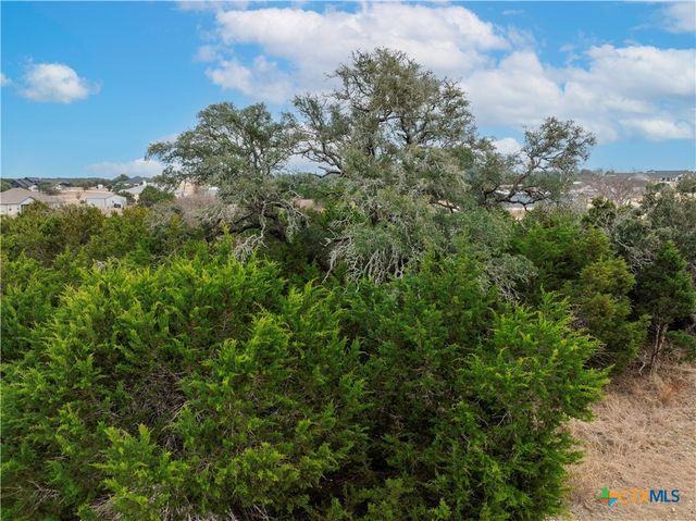 220 Lantana Bud Trail, Liberty Hill, TX 78642