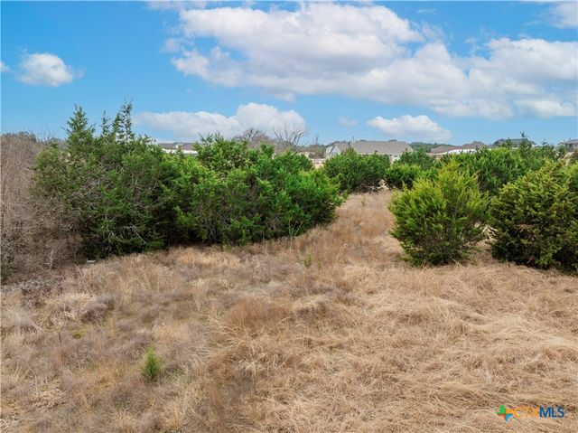 220 Lantana Bud Trail, Liberty Hill, TX 78642