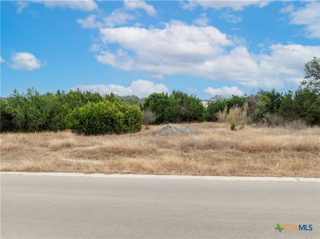 220 Lantana Bud Trail, Liberty Hill, TX 78642