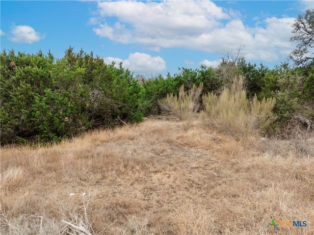 220 Lantana Bud Trail, Liberty Hill, TX 78642