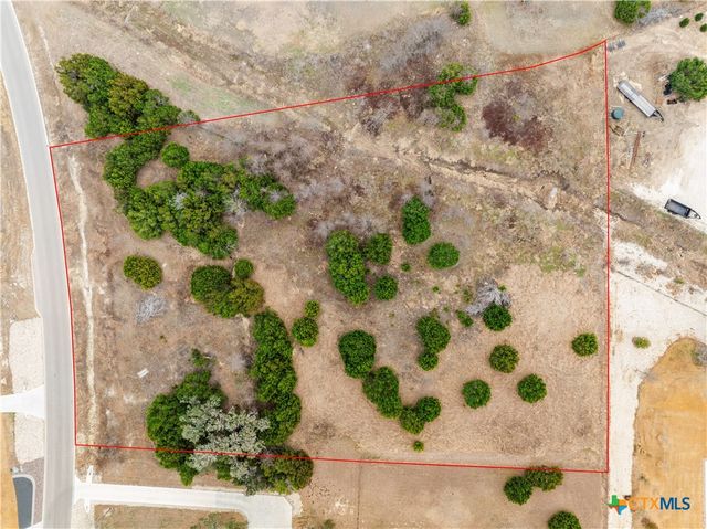 220 Lantana Bud Trail, Liberty Hill, TX 78642