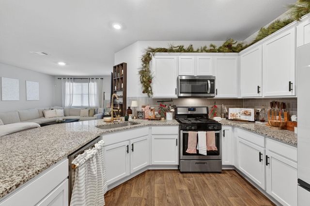 301 Carolina Buckthorn DR, Kyle, TX 78640