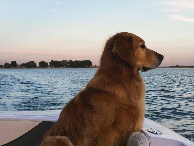 904 Engleman Pl, Loveland, CO 80538