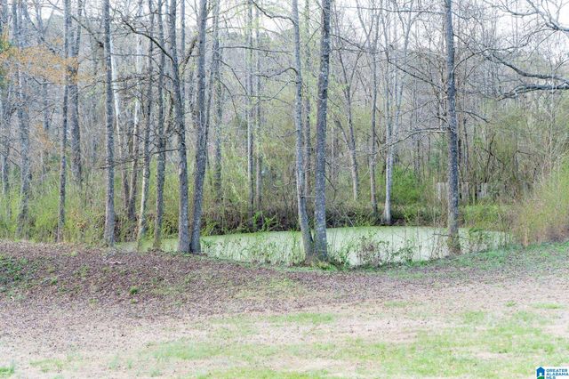 7121 GOODNER MOUNTAIN ROAD, Pinson, AL 35126