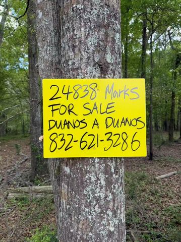 24838 Marks Road, Splendora, TX 77372