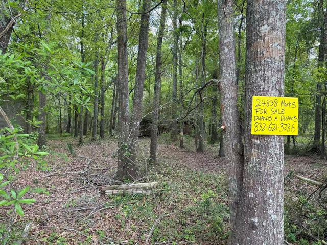 24838 Marks Road, Splendora, TX 77372