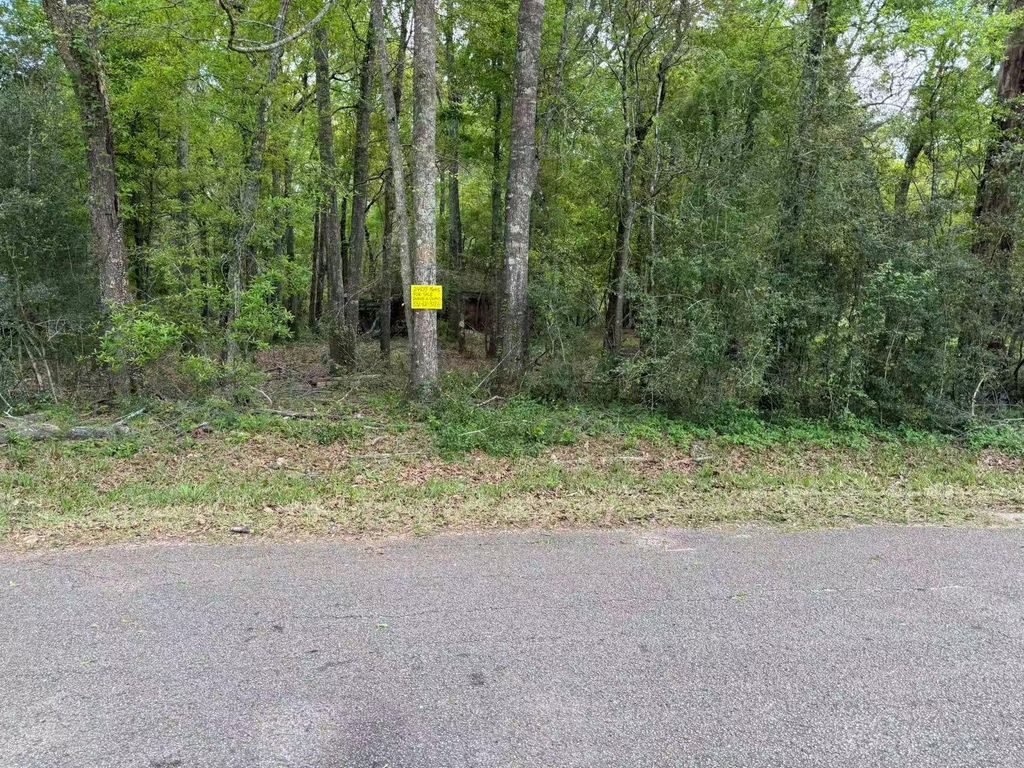 24838 Marks Road, Splendora, TX 77372