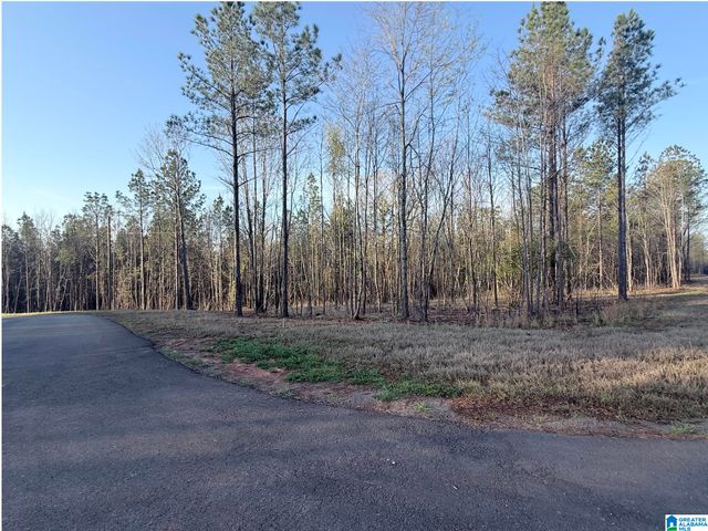 620 HORSESHOE TRAIL, Helena, AL 35022