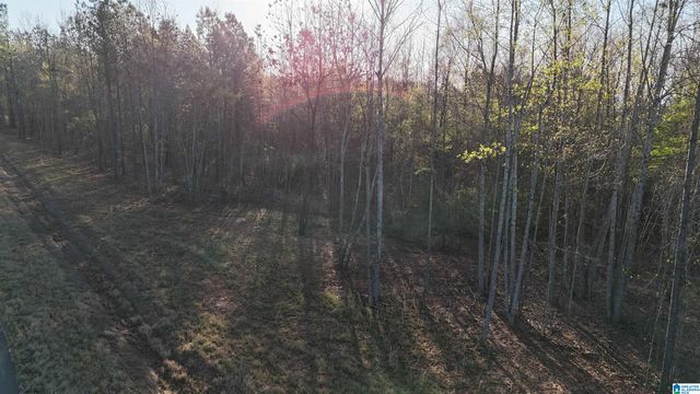 620 HORSESHOE TRAIL, Helena, AL 35022