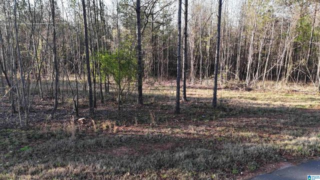 620 HORSESHOE TRAIL, Helena, AL 35022