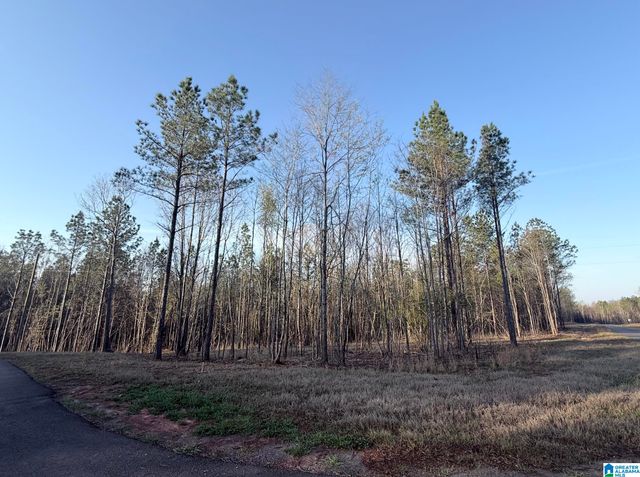 620 HORSESHOE TRAIL, Helena, AL 35022